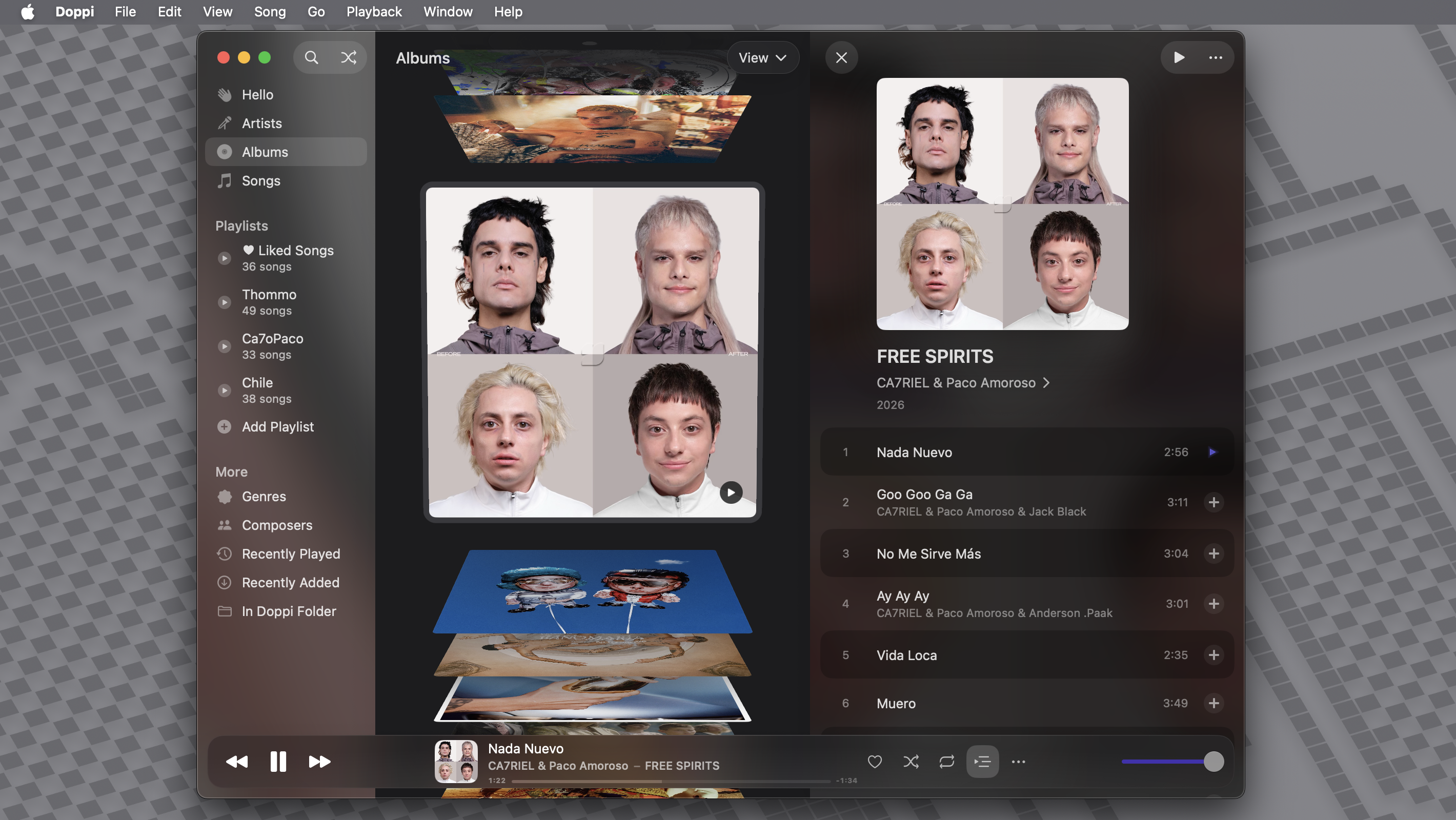 The Doppi app showing a music library on a Mac